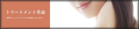 トリートメント革命