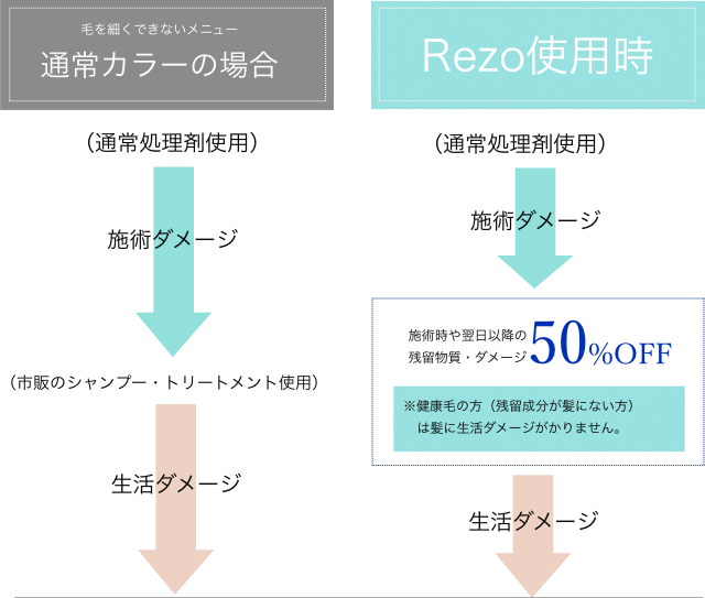 通常カラーとReozのダメージ比較図 sp用