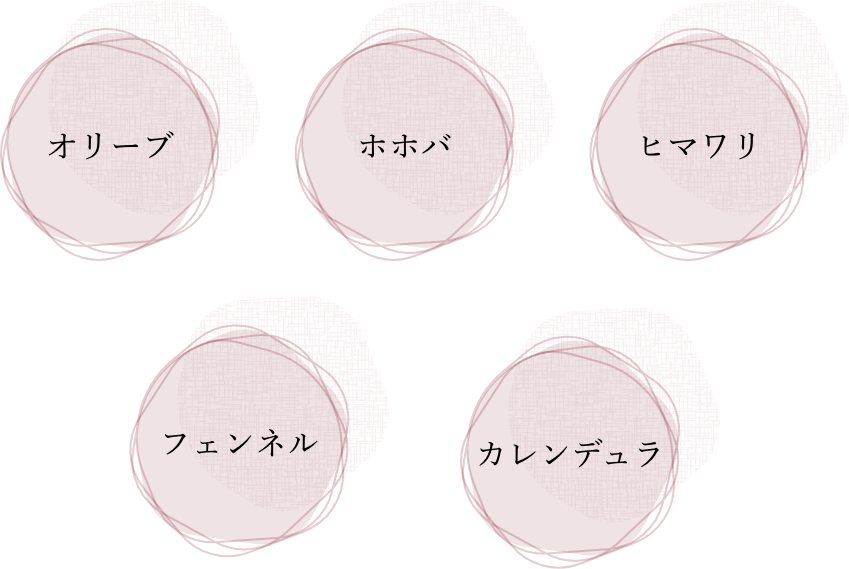 オリーブ ホホバ ヒマワリ フェンネル カレンデュラ